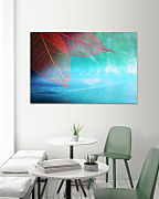 Obraz Farebné makro listy 2058